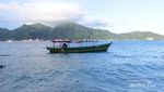 Yang Cantik di Lampung Selain Pulau Pahawang