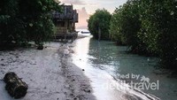 Tepian pantai yang tenang