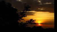Sunrise yang indah yang bisa kamu nikmati dan rasakan kehangatannya Di kebun buah mangunan