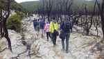 Yang Cantik & Eksotis di Gunung Papandayan