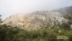 Yang Cantik & Eksotis di Gunung Papandayan