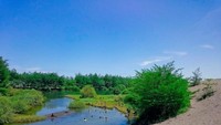 Laguna yang menjadi favorit anak-anak untuk bermain air, berbatasan langsung dengan gumuk pasir