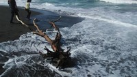 Meski tidak ada larangan berenang di pantai, pengunjung tetap harus hati-hati main di pantai