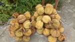 Yang Enak-enak di Tanjung Selor