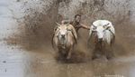 Yang Harus Fotografer Potret di Sumatera Barat