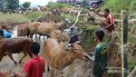 Yang Harus Fotografer Potret di Sumatera Barat