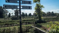 Satu-satunya petunjung yang ditemui setelah pintu masuk ke komplek candi Sambisari