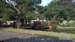 Yang Hijau dan Adem di Cianjur, Taman Bunga Nusantara