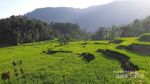Yang Hijau dan Segar di Garut Selatan: Kampung Saparantu