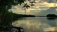 Zona Pesisir Muara Badak yang masih sangat alami dan indah