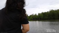 wisata mengamati Bekantan di Pesisir Muara Badak