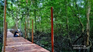 Yang Hijau-hijau di Wisata Mangrove Muara Badak