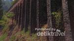 Yang Instagramable Dekat Merapi, Plunyon Kalikuning