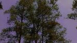 Yang Instagramable Dekat Merapi, Plunyon Kalikuning