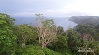 Pemandangan dari atas mercusuar