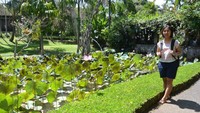 Kolam di salah satu sudut museum