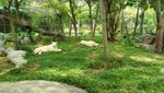 Yang Lain dari Ancol: Kebun Binatang Mini