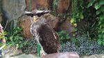 Yang Lain dari Ancol: Kebun Binatang Mini