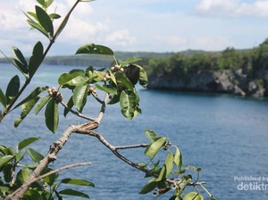 Yang Ramai di Sosmed: Pantai Apparallang di Sulsel