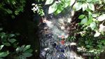Yang Segar & Dingin di Sumatera Utara: Air Terjun Teroh-teroh