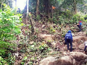 Yang Segar dari Kota Padang: Air Terjun Sarasah Ulu Gadut