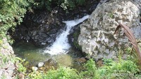Air Terjun Lubuk Tempurung tingkat Pertama