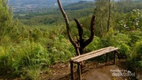 Pemandangan sekitar jalur menuju Air Terjun Sumber Pitu