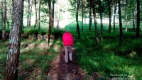tracking