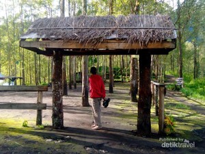 Yang Segar di Malang, Air Terjun Sumber Pitu