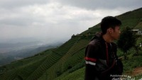 Terasering Panyaweuyan