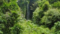 Curug Citorok, curug pertama yang kami temui