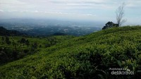 Udaranya juga sejuk