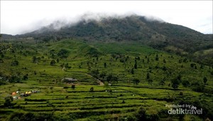 Yang Sejuk di Kendal, Kebun Teh Promasan Medini