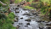 Di tempat ini terdapat air terjun yang tidak terlalu besar dan airnya mengalir di sungai berbatu in
