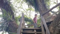 Tempatnya ramah anak.