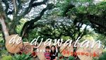 Yang Sejuk-sejuk di Banyuwangi, De Djawatan Benculuk