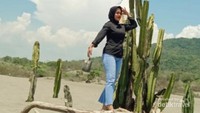 spot foto di pohon kaktus gumuk pasir parangkusumo