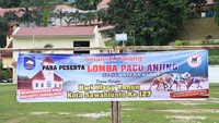 Lomba Pacu Anjing dalam rangka HUT Kota Sawahlunto ke 127