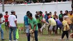 Yang Seru di Sawahlunto, Lomba Pacu Anjing