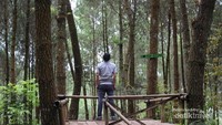 Hutan Pinus Kragilan
