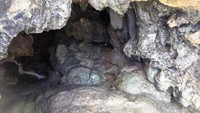 Gua-gua kecil di Pantai Jogan