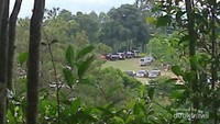 kebun teh usia ratusan tahun