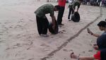 Yang Unik Dari Sukabumi, Pantai Ujung Genteng & Curug Cikaso