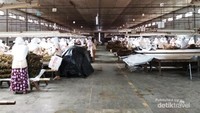 Proses pengolahan daun tembakau (sortasi) (dok. Dian)