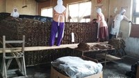 Proses fermentasi daun tembakau (dok. Dian)