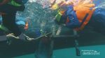 Yang Wajib di Pulau Lengkuas, Snorkeling