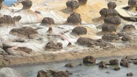 Susunan batu-batu yang indah ini menjadi penghuni Yeliu Geopark (Sumber: go4tour.com)
