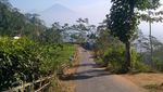 Yogyakarta Punya Kebun Teh yang Cantik Juga