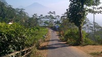 Trek menuju Kebun Teh Nglinggo