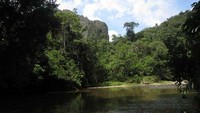 Taman Nasional Betung Kerihun, Kalbar (dok. Dwi Putri Ratnasari/ACI)